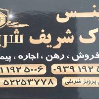 علیرضا موسوی پروفایل