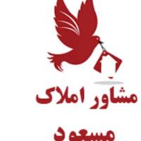 میثم محمدیان پروفایل