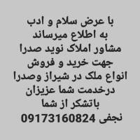 یوسف نجفی  پروفایل
