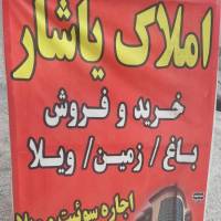 موسیوند پروفایل