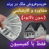 کارشناس آقای سعیدی  پروفایل