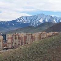 امیربوذری پروفایل