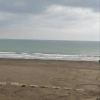 روجا عباسی پروفایل