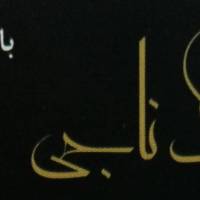 مشاور آژانس املاک ناجی پروفایل