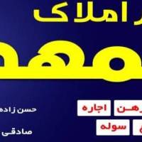 المهدی پروفایل