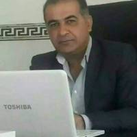 فیروز محمدی پروفایل