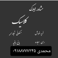 محمدی پروفایل