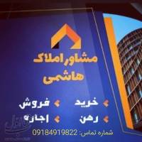املاک حسن هاشمی پروفایل
