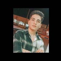 محمد امیر امیری پروفایل