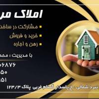 محمدرضا اسلامی پروفایل