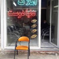 صیدی سارا پروفایل