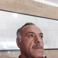 محمد گودرزی پروفایل