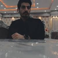 محمدرضا داودی پروفایل