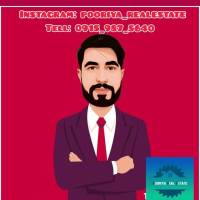 پوریا شمس پروفایل
