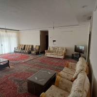 مشاور محمدعلی محمدی پروفایل