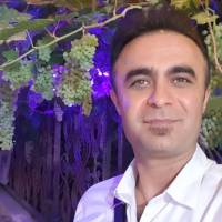 سلمان طاهریان پروفایل