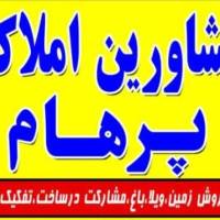آقای محسنی پروفایل