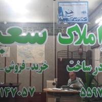 محمد مهدی صالحی پروفایل