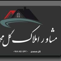 غلامرضا گل محمدی پروفایل