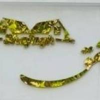 آژانس املاک مشاورین املاک شفق پروفایل