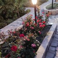 آژانس املاک بهار پروفایل