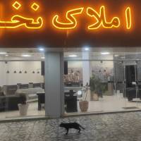 آژانس املاک نخل یحیی پور اسکی پروفایل
