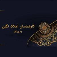 آژانس املاک نگین صورتگر پروفایل