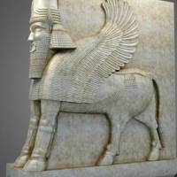 آژانس املاک سراسری هخامنش ذاکری پروفایل