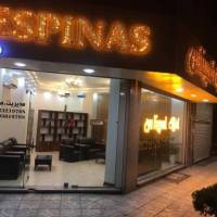 آژانس املاک اسپیناس پروفایل