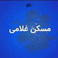 آژانس املاک غلامی پروفایل