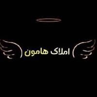 آژانس املاک هامون پروفایل
