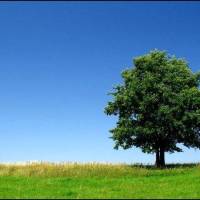 آژانس املاک نصرالهی پروفایل