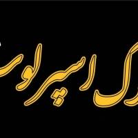 آژانس املاک ا سپرلوس پروفایل