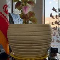 آژانس املاک اصلان پروفایل
