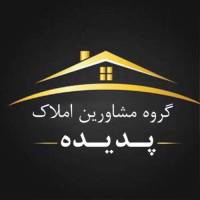 آژانس املاک دپارتمان بزرگ پدیده پروفایل