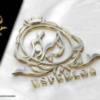 آژانس املاک اسپرلوس پروفایل