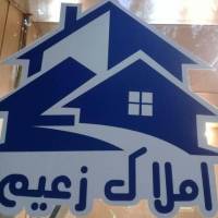 آژانس املاک زعیم پروفایل