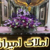 آژانس املاک امیران پروفایل